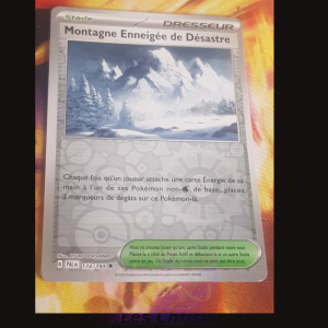 Montagne Enneigée de Désastre 174/193