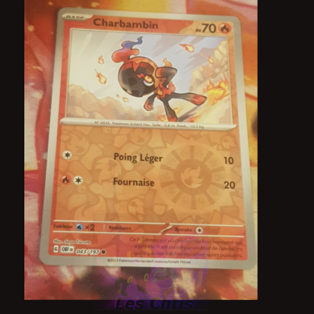 Charbambin 43/197