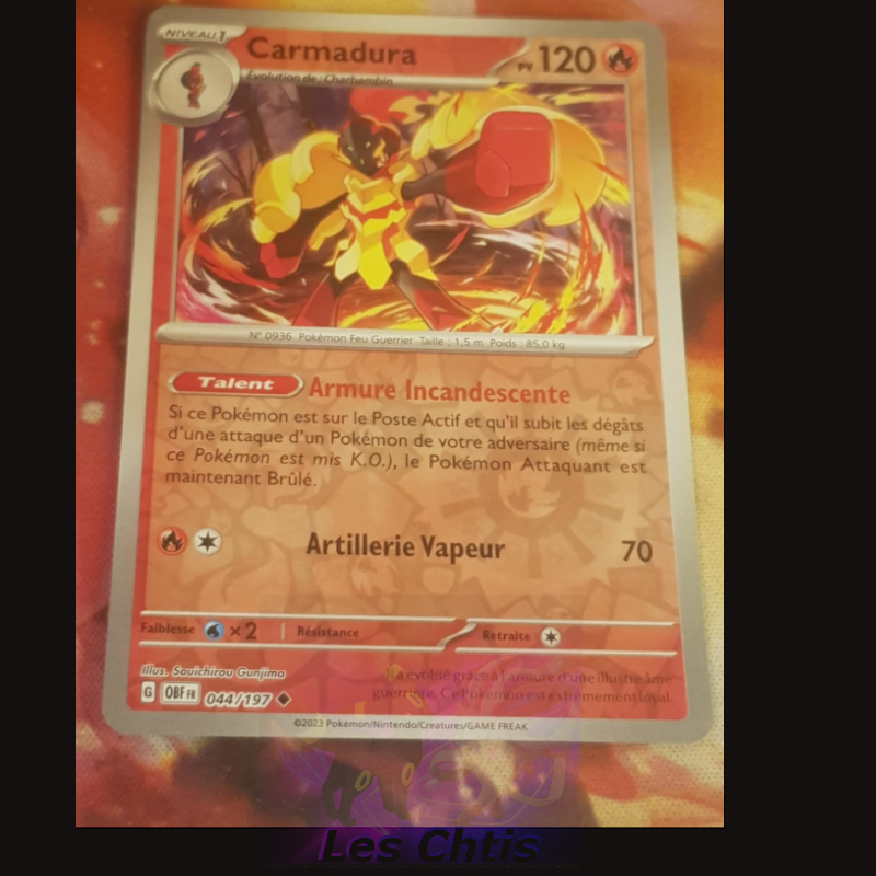 Carmadura 44/197