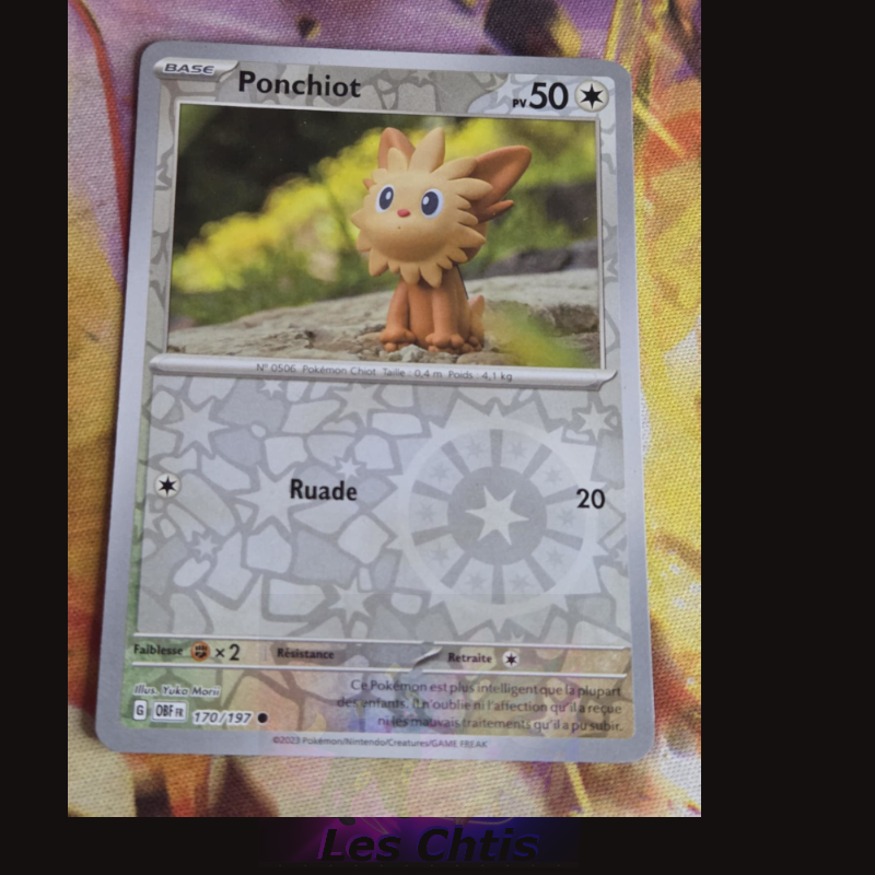 Ponchiot 170/197