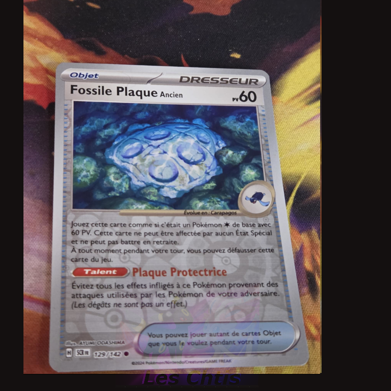Fossile Plaque Ancien 129/142