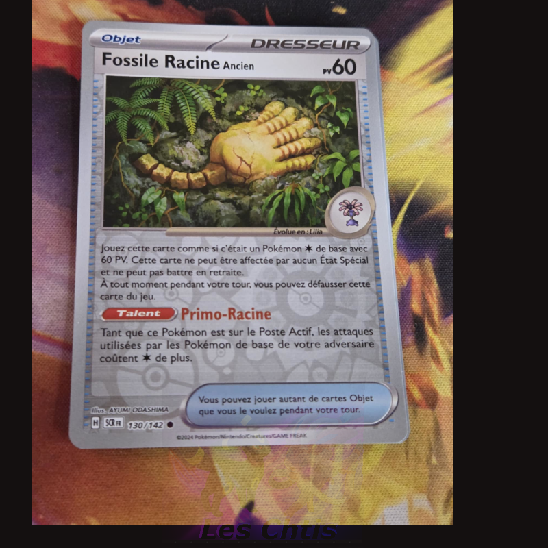 Fossile Racine Ancien 130/142