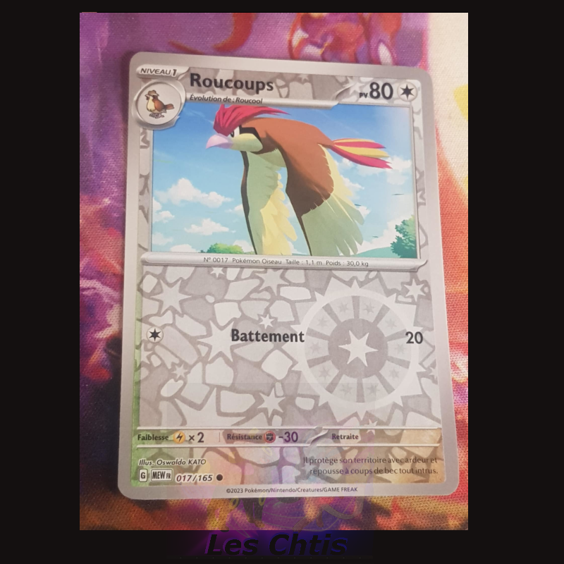 Roucoups 17/165