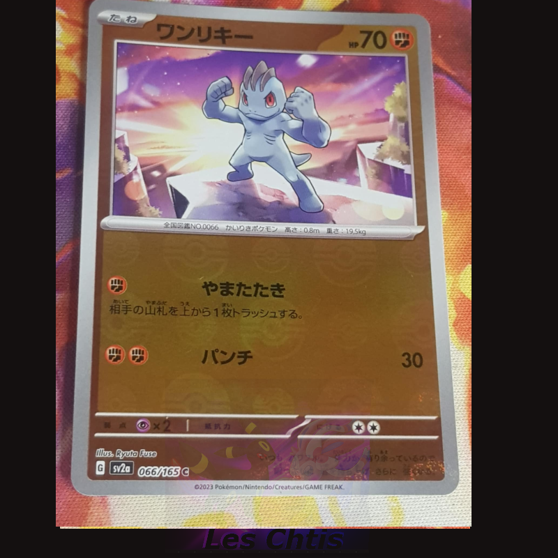 Machop 066/165