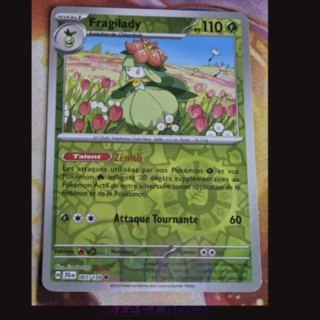 Fragilady 7/159
