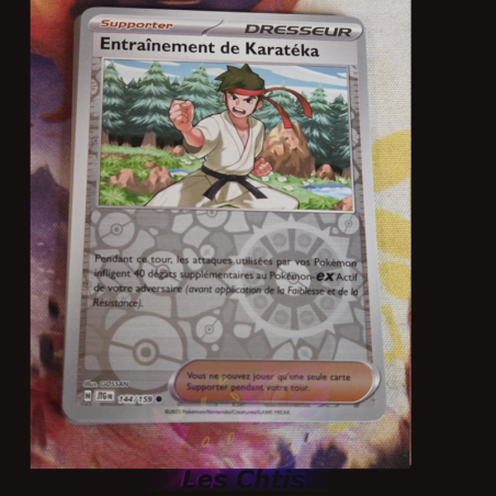 Entraînement de Karatéka 144/159