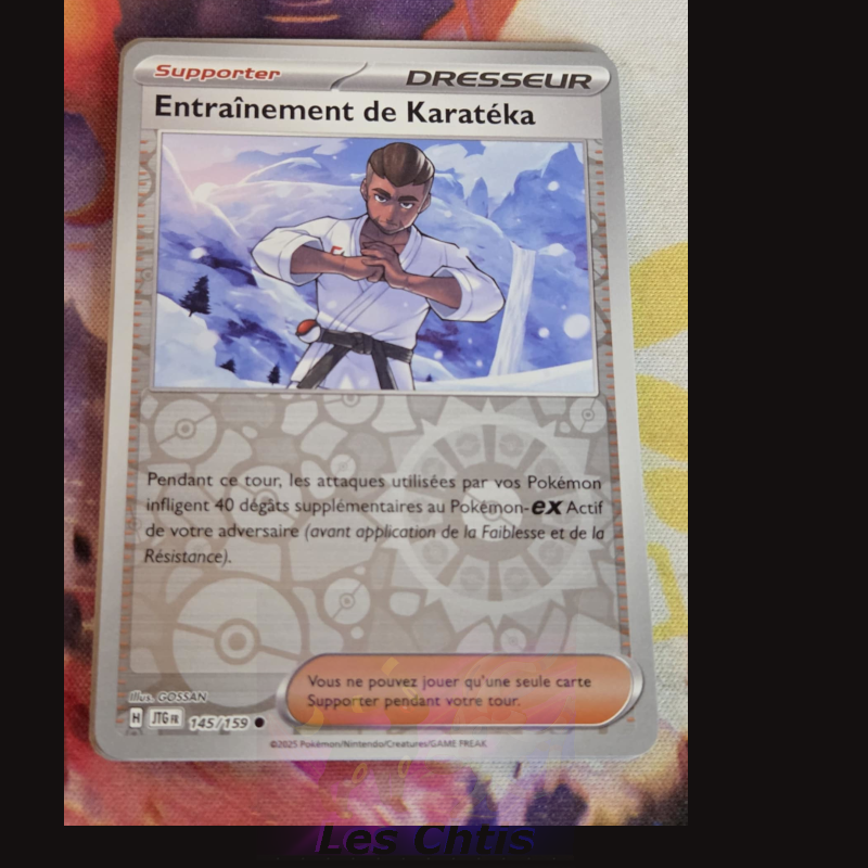 Entraînement de Karatéka 145/159