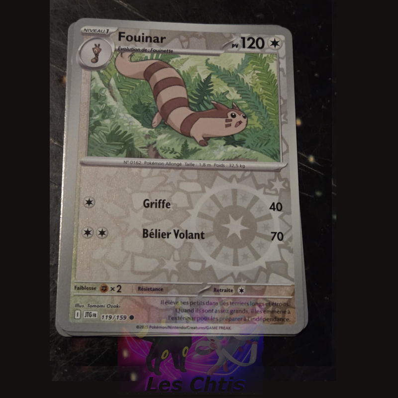 Fouinar 119/159