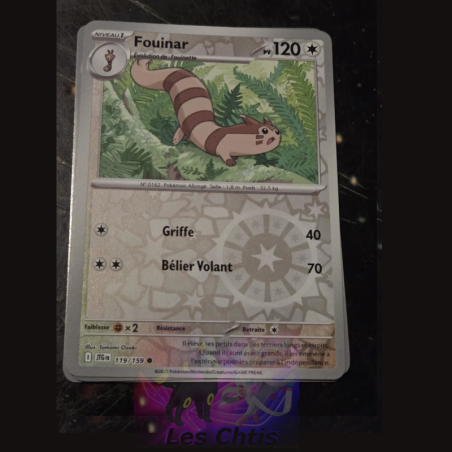 Fouinar 119/159
