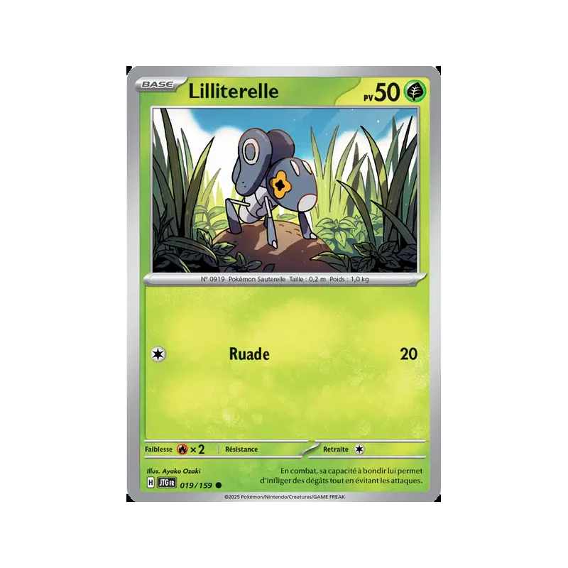 Lilliterelle 19/159
