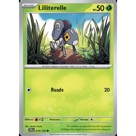 Lilliterelle 19/159