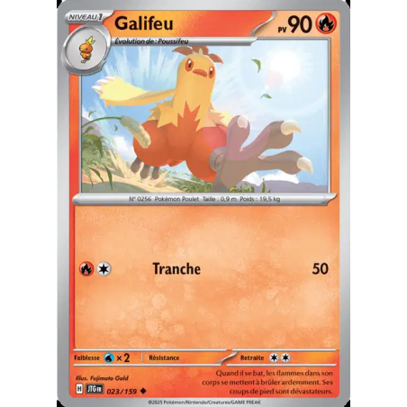 Galifeu 23/159