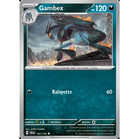 Gambex 100/159