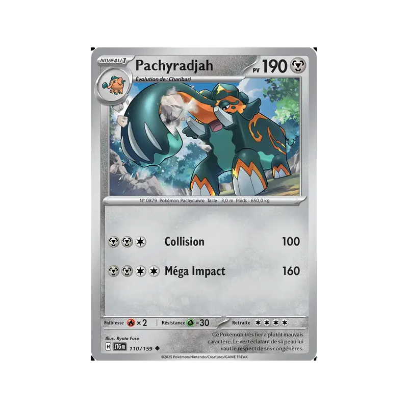 Pachyradjah 110/159