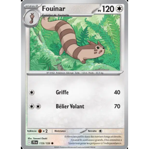 Fouinar 119/159