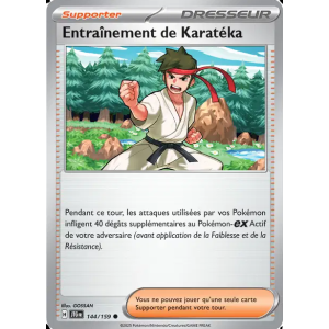 Entraînement de Karatéka 144/159