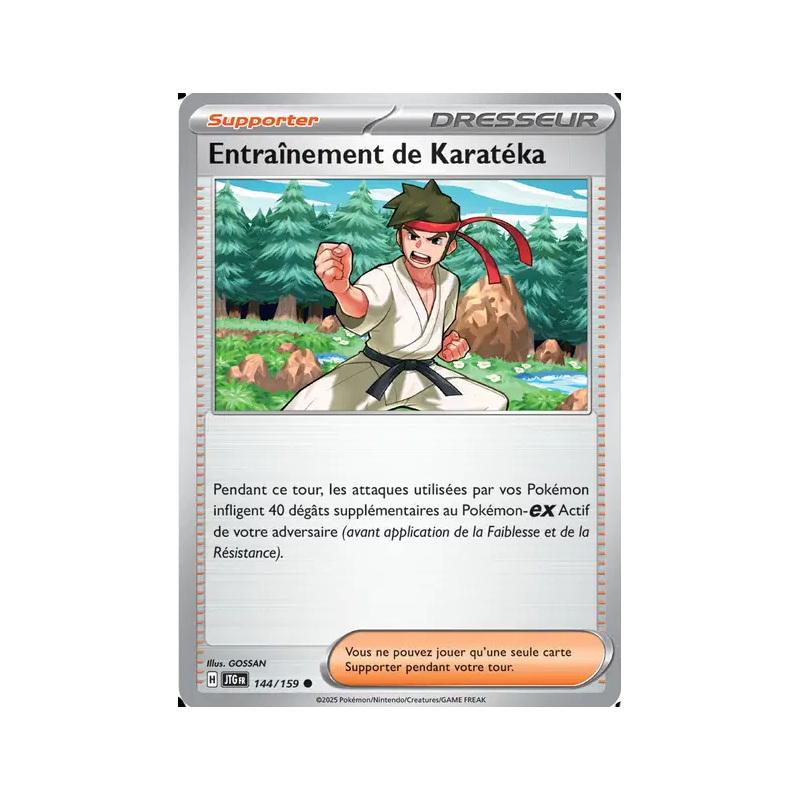 Entraînement de Karatéka 144/159