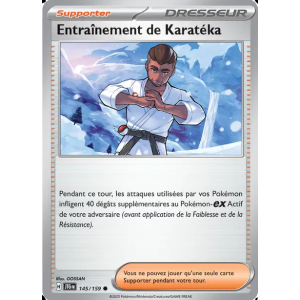 Entraînement de Karatéka 145/159