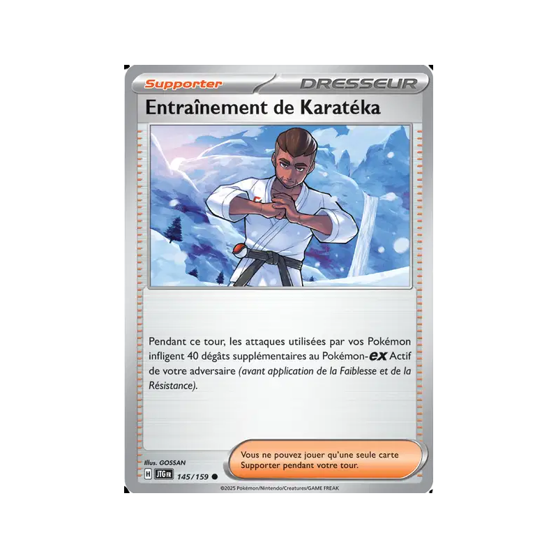 Entraînement de Karatéka 145/159
