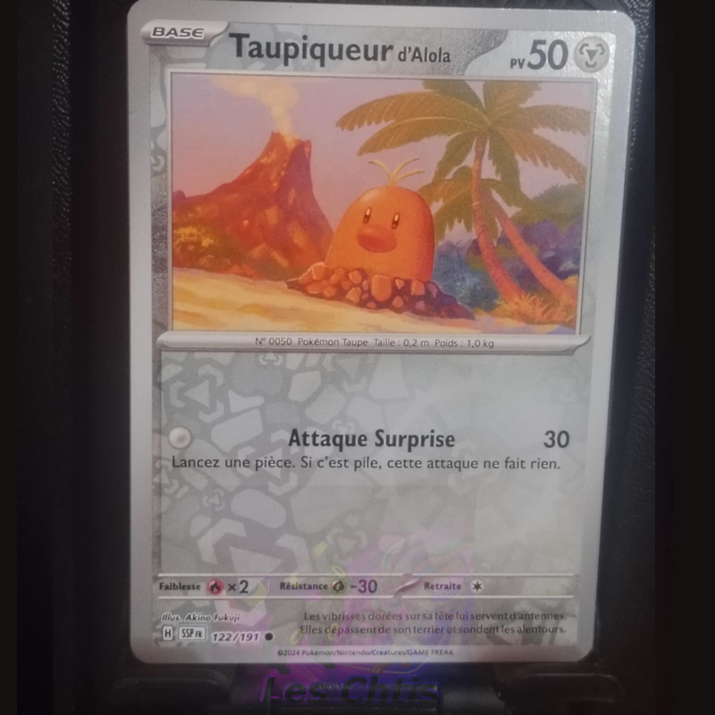 Taupiqueur d'Alola 122/191