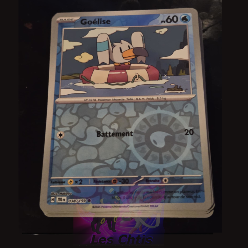 Goélise 38/159