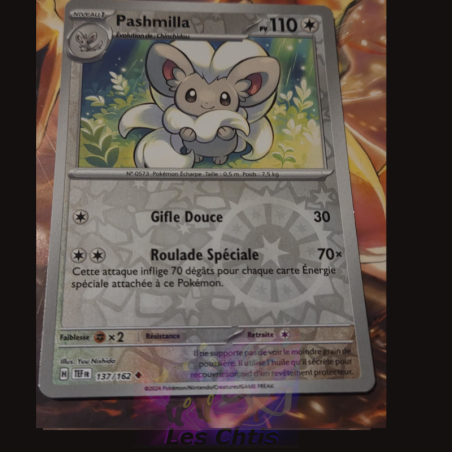 Pashmilla 137/162