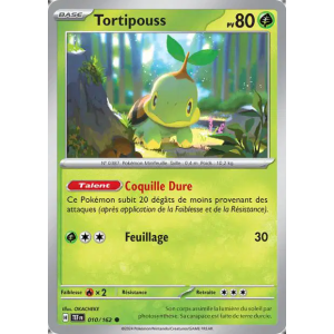 Tortipouss 10/162