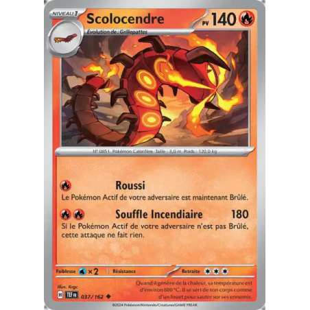 Scolocendre 37/162