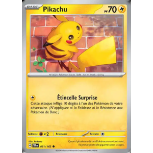 Pikachu 51/162