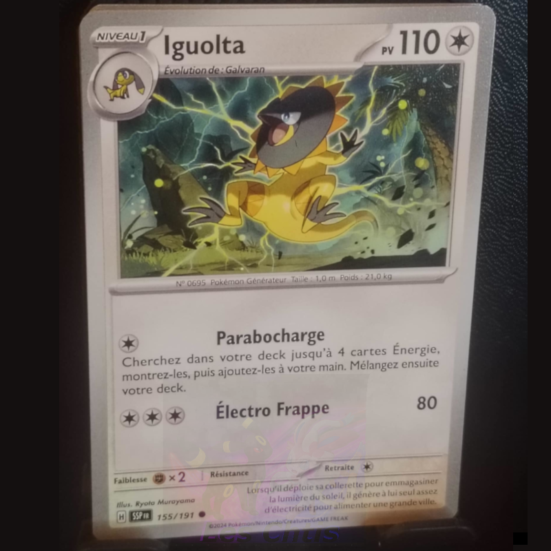 Iguolta 155/191