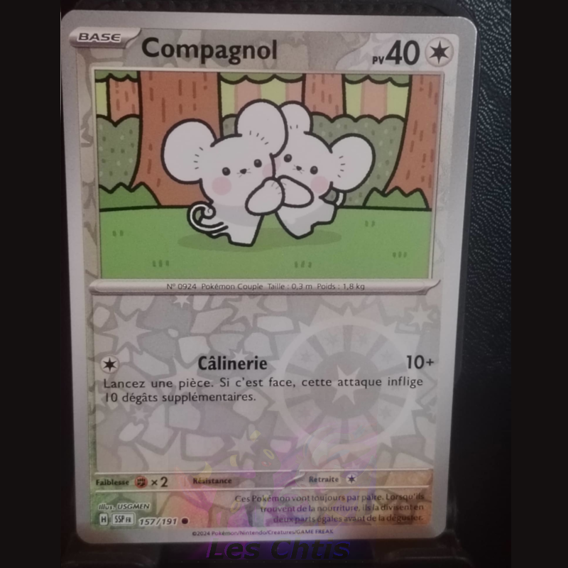 Compagnol 157/191