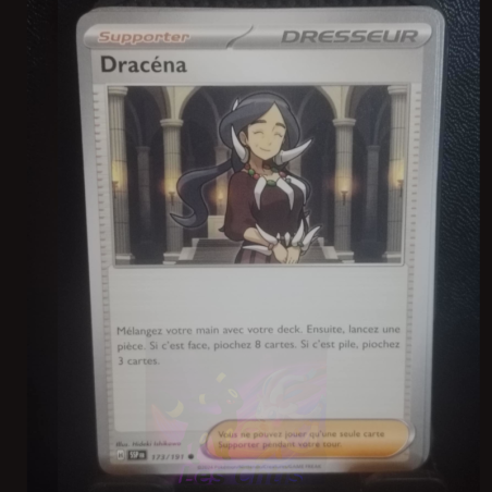 Dracéna 173/191