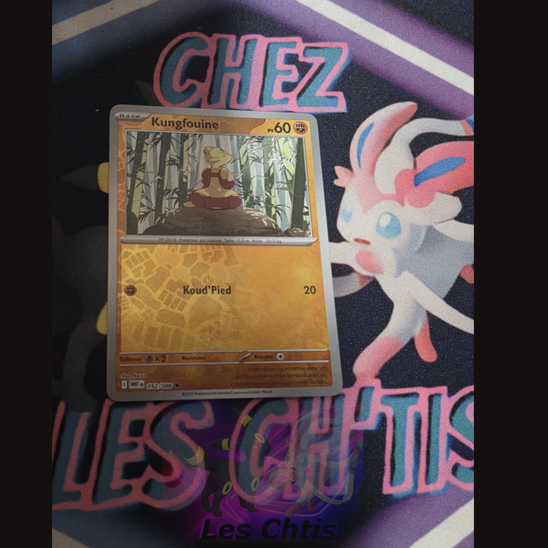 Kungfouine 52/86