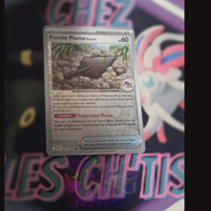 Fossile Plume Ancien 79/86