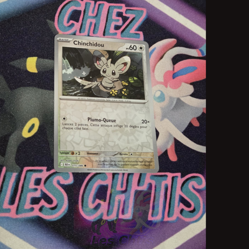 Chinchidou 75/86