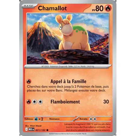 Chamallot 21/132