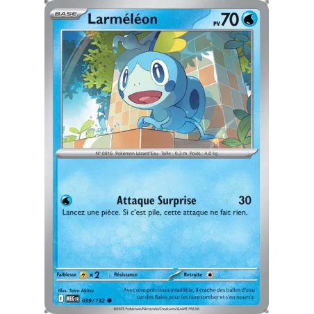 Larméléon 39/132