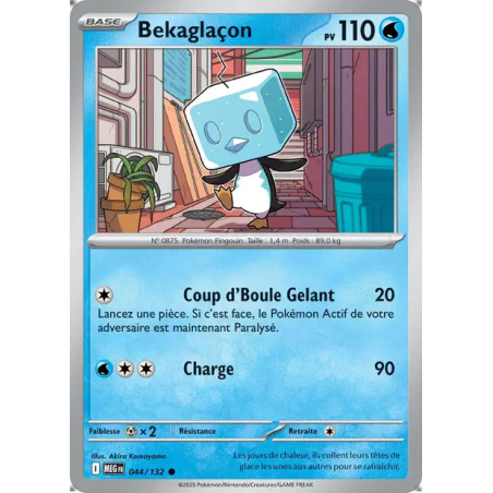 Bekaglaçon 44/132
