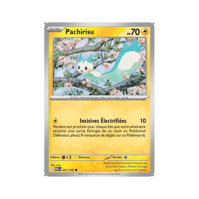 Pachirisu 51/132