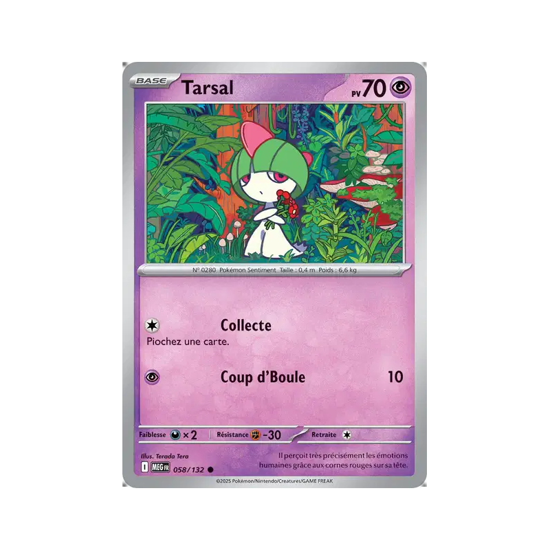 Tarsal 58/132