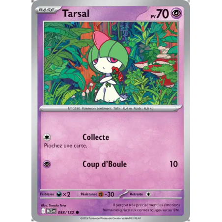 Tarsal 58/132