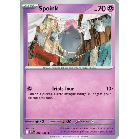 Spoink 62/132