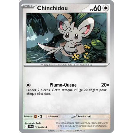 Chinchidou 75/86