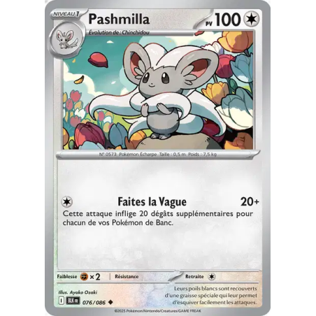 Pashmilla 76/86