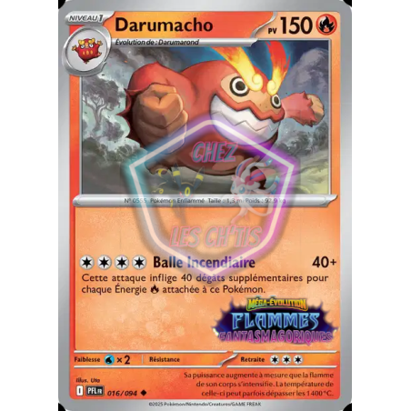 Darumacho 16/94