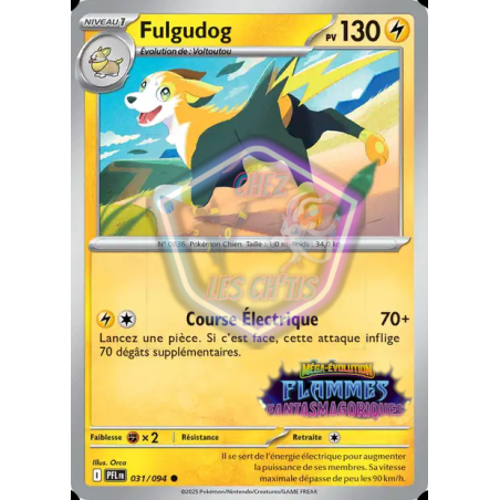 Fulgudog 31/94