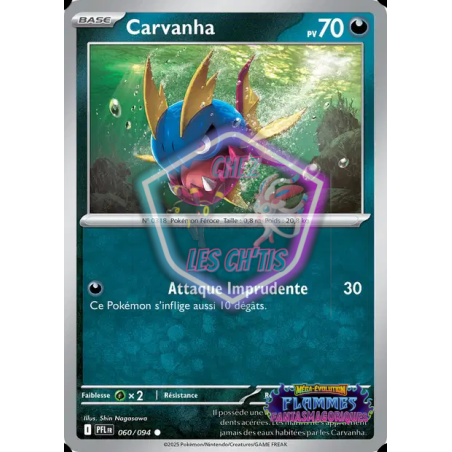 Carvanha 60/94