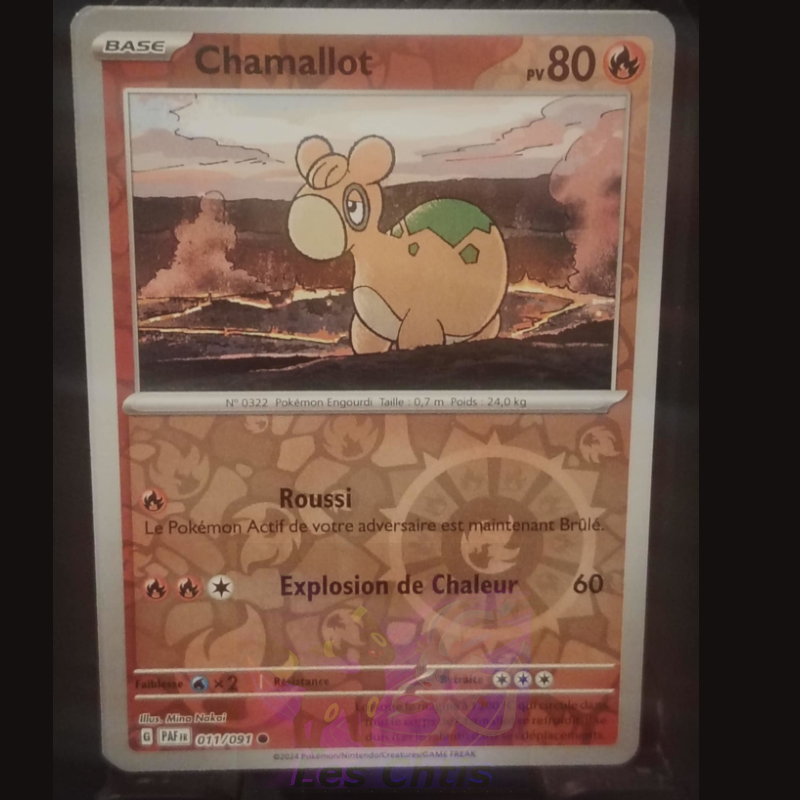 Chamallot 11/91