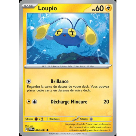 Loupio 20/91