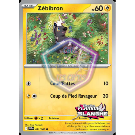 Zébibron 31/86